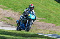 Oulton-Park-20th-March-2020;PJ-Motorsport-Photography-2020;anglesey;brands-hatch;cadwell-park;croft;donington-park;enduro-digital-images;event-digital-images;eventdigitalimages;mallory;no-limits;oulton-park;peter-wileman-photography;racing-digital-images;silverstone;snetterton;trackday-digital-images;trackday-photos;vmcc-banbury-run;welsh-2-day-enduro